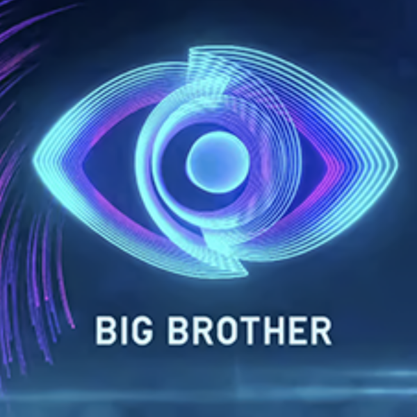 Big Brother (TV series)