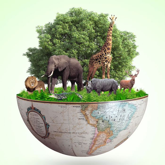 Biodiversity logo