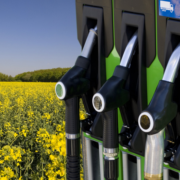 Biodiesel