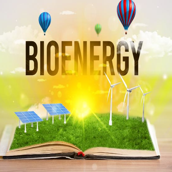 Bioenergy logo