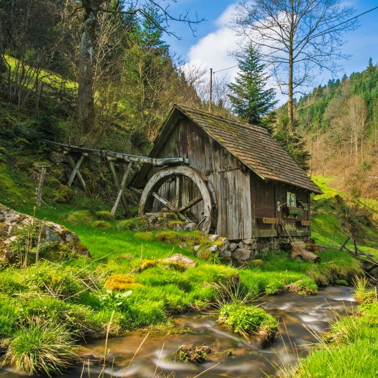 Black Forest