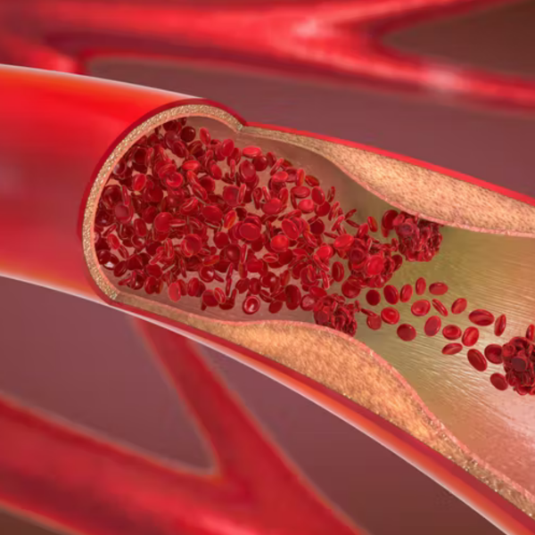 Blood vessel logo