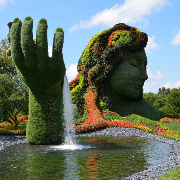 Botanical garden logo