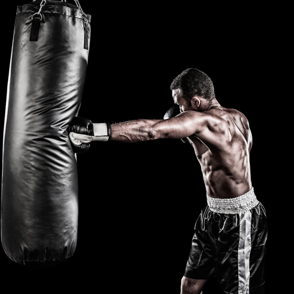Boxing training logo