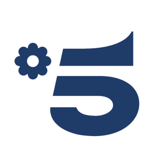 Canale 5