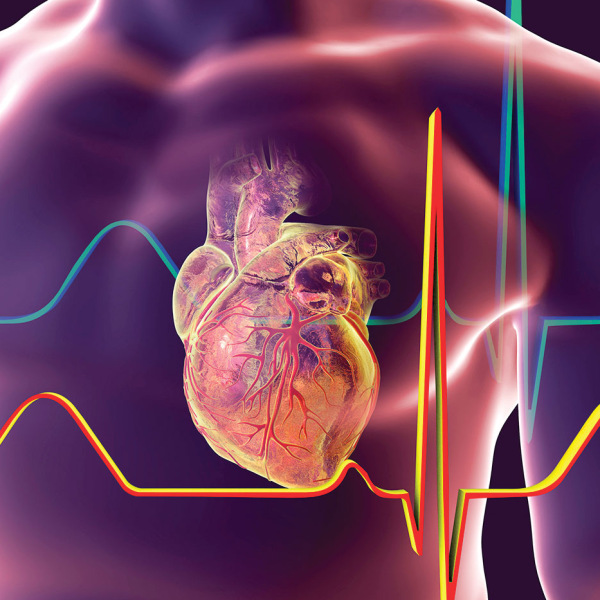 Cardiology logo