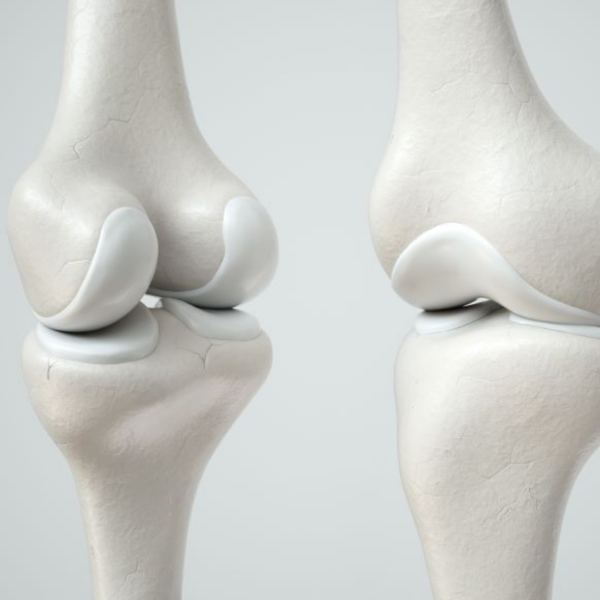 Cartilage logo