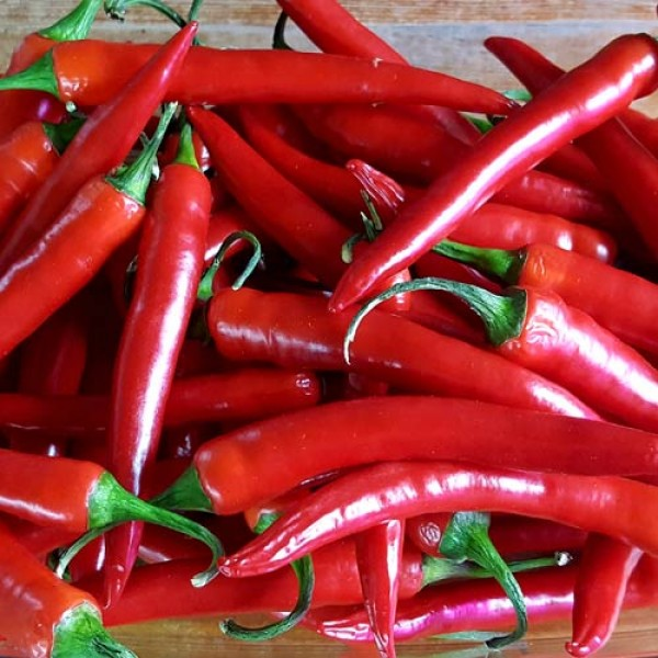 Cayenne pepper