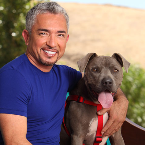 Cesar Millan