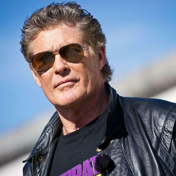 David Hasselhoff logo