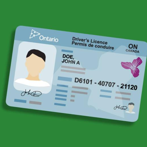 Driver's license logo