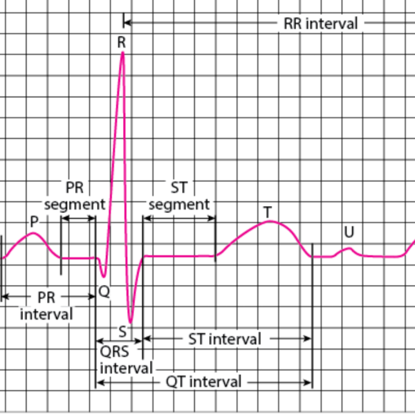 Electrocardiography logo