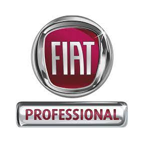 Fiat Professional