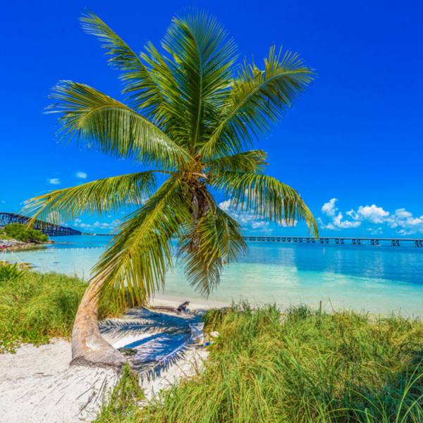 Florida Keys logo