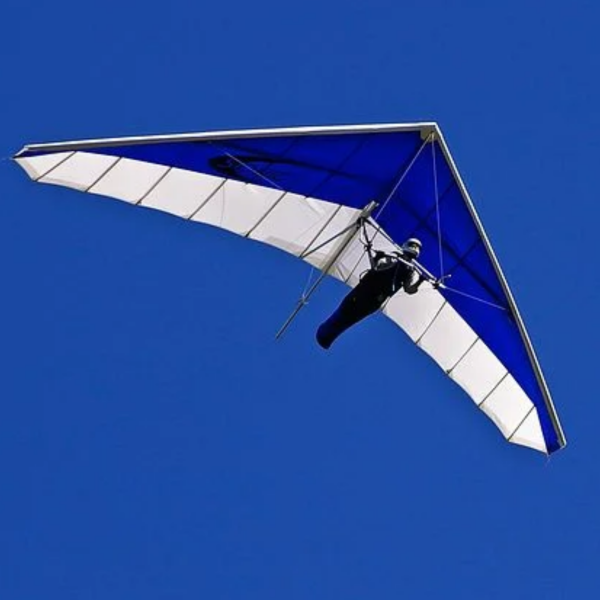 Hang gliding logo