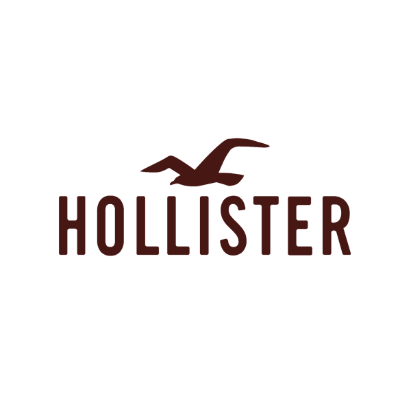 Hollister Co.