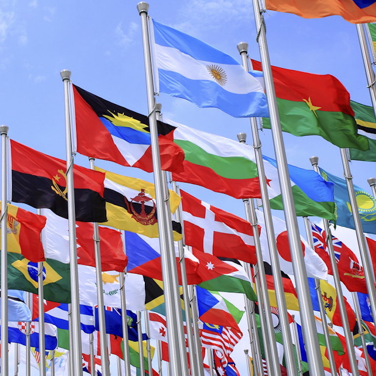 International relations logo