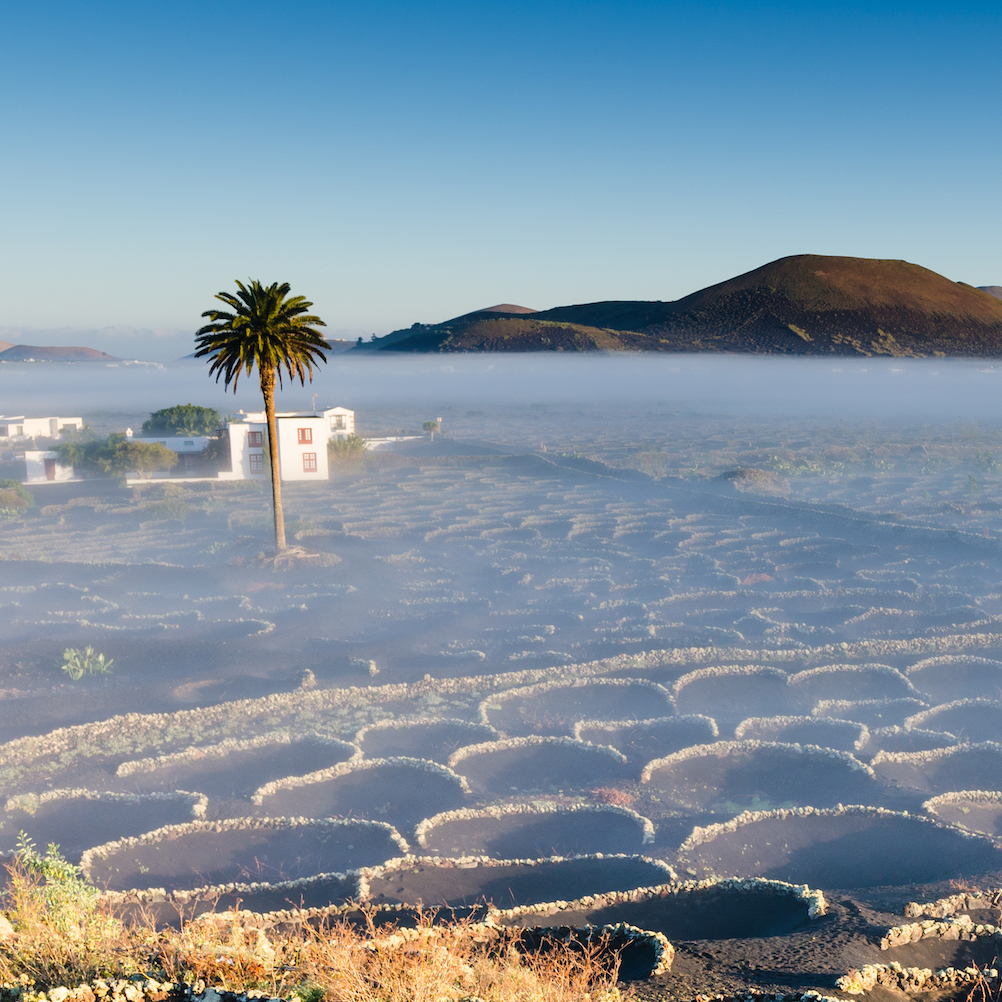 Lanzarote