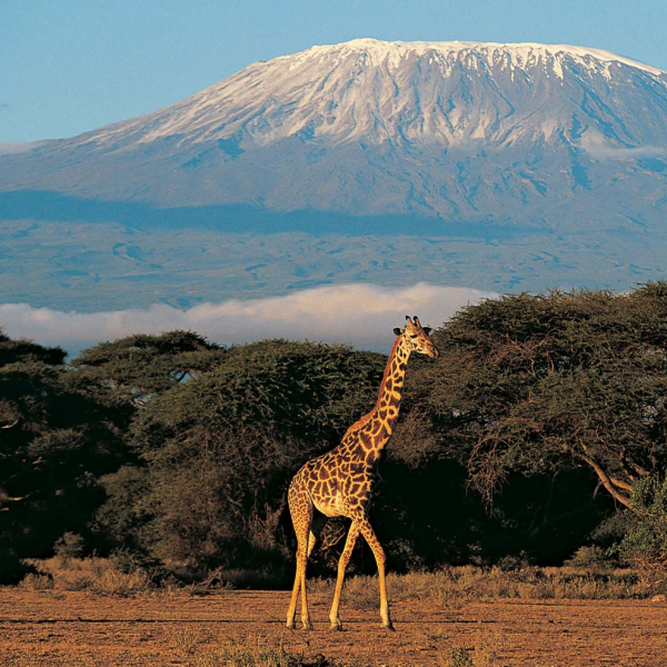 Mount Kilimanjaro