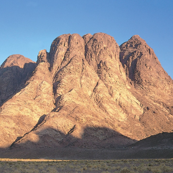 Mount Sinai logo