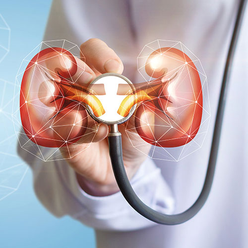 Nephrology logo