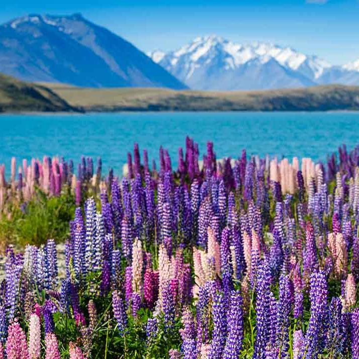 New Zealand