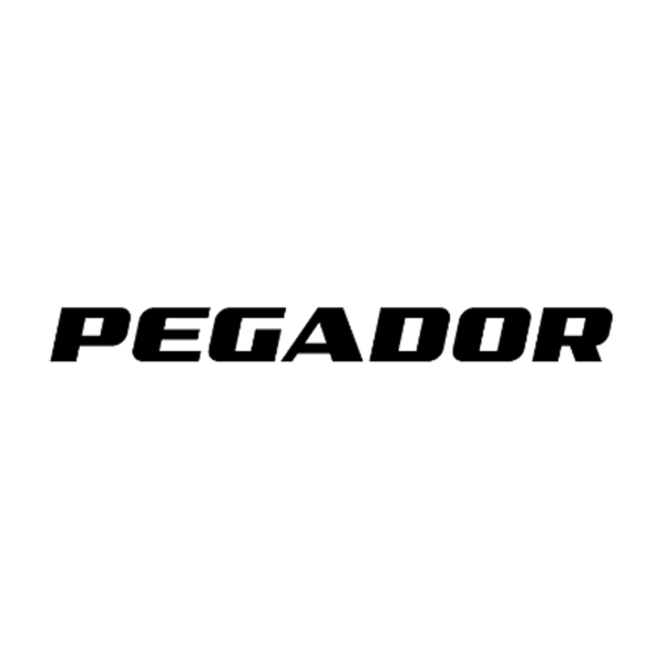 Pegador