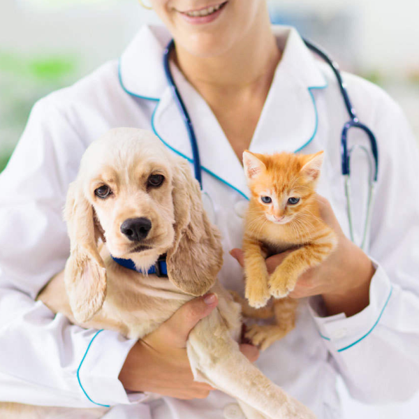 Pet insurance logo