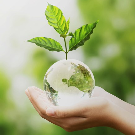 Sustainable business logo