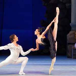 Swan Lake