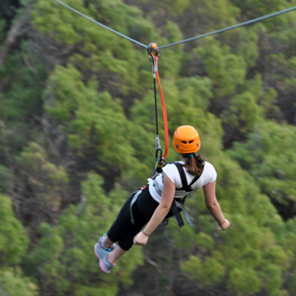 Zip-line logo