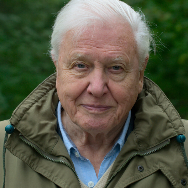 David Attenborough