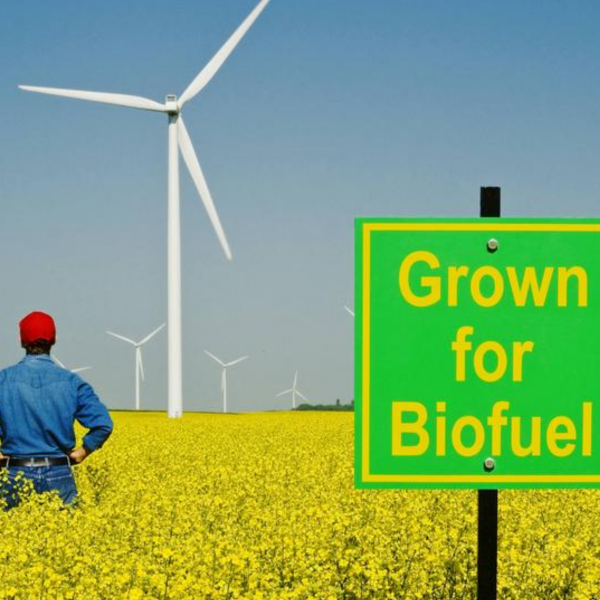 Biofuel