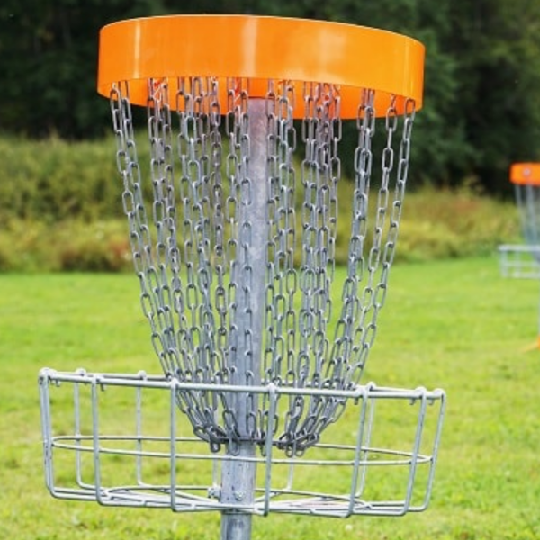 Disc golf logo