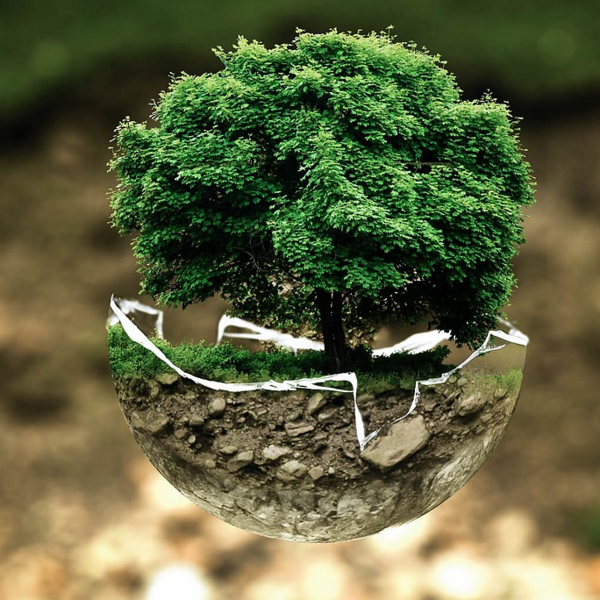 Environmental protection logo