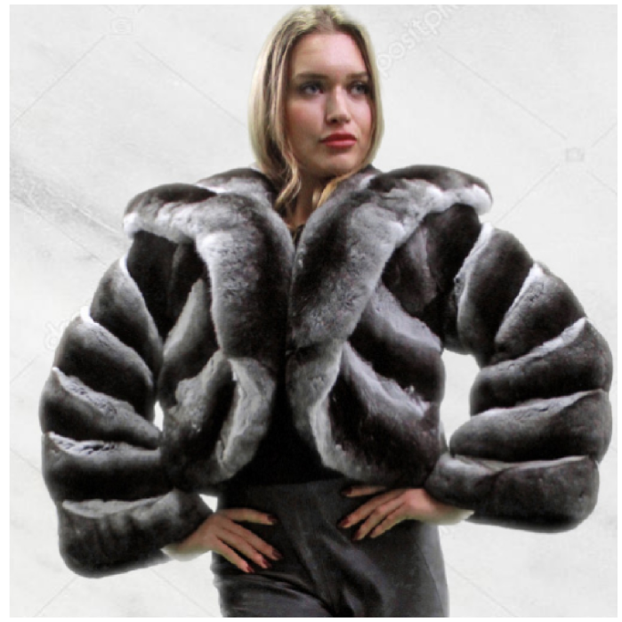 Fur clothing logo