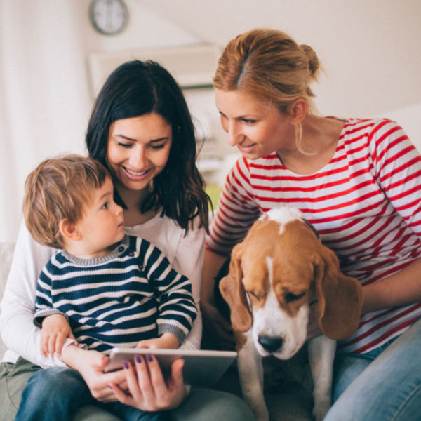 LGBT parenting