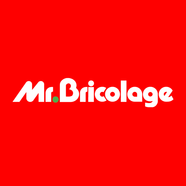 Mr. Bricolage