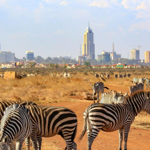 Nairobi logo