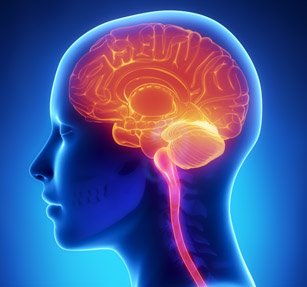 Neurology logo