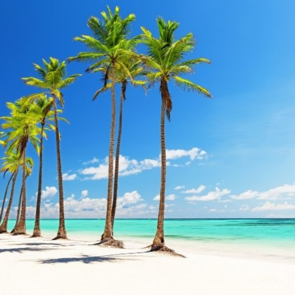 Punta Cana