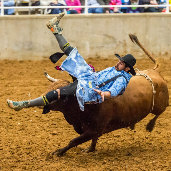 Rodeo logo