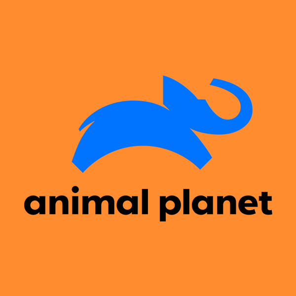 Animal Planet