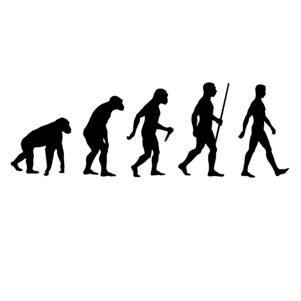 Anthropology