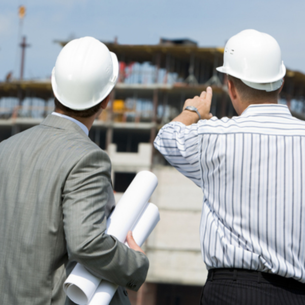 Building inspection logo