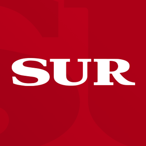 Diario Sur
