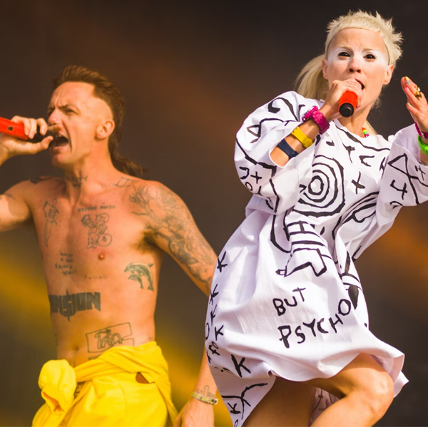 Die Antwoord logo