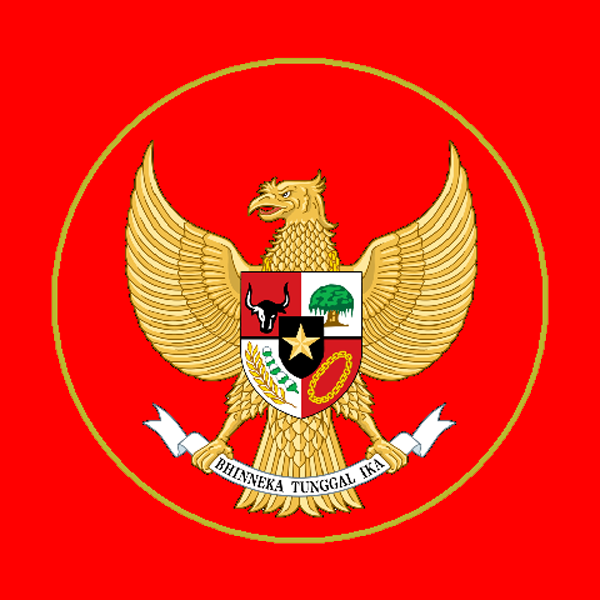 TIMNAS INDONESIA