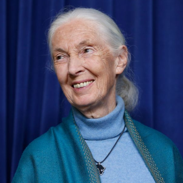Jane Goodall