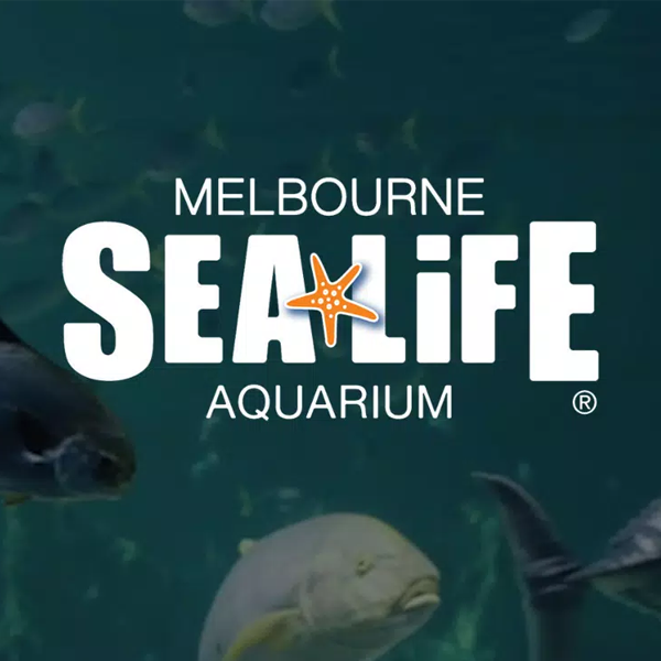 Public aquarium